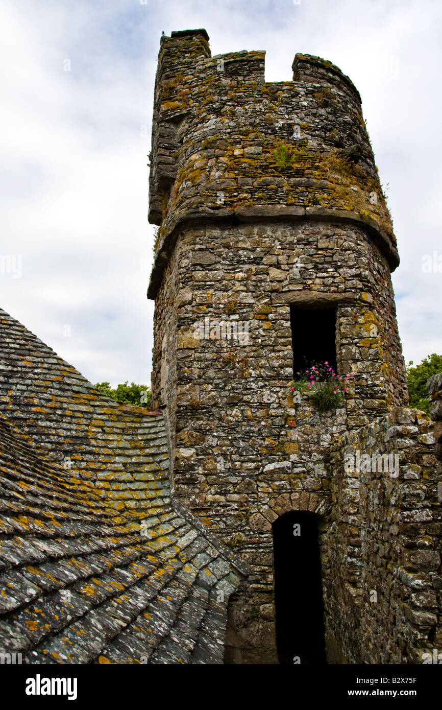 Stein-Dach und Turm im Spie mittelalterliche Burg, Normandie, Frankreich Stockfoto