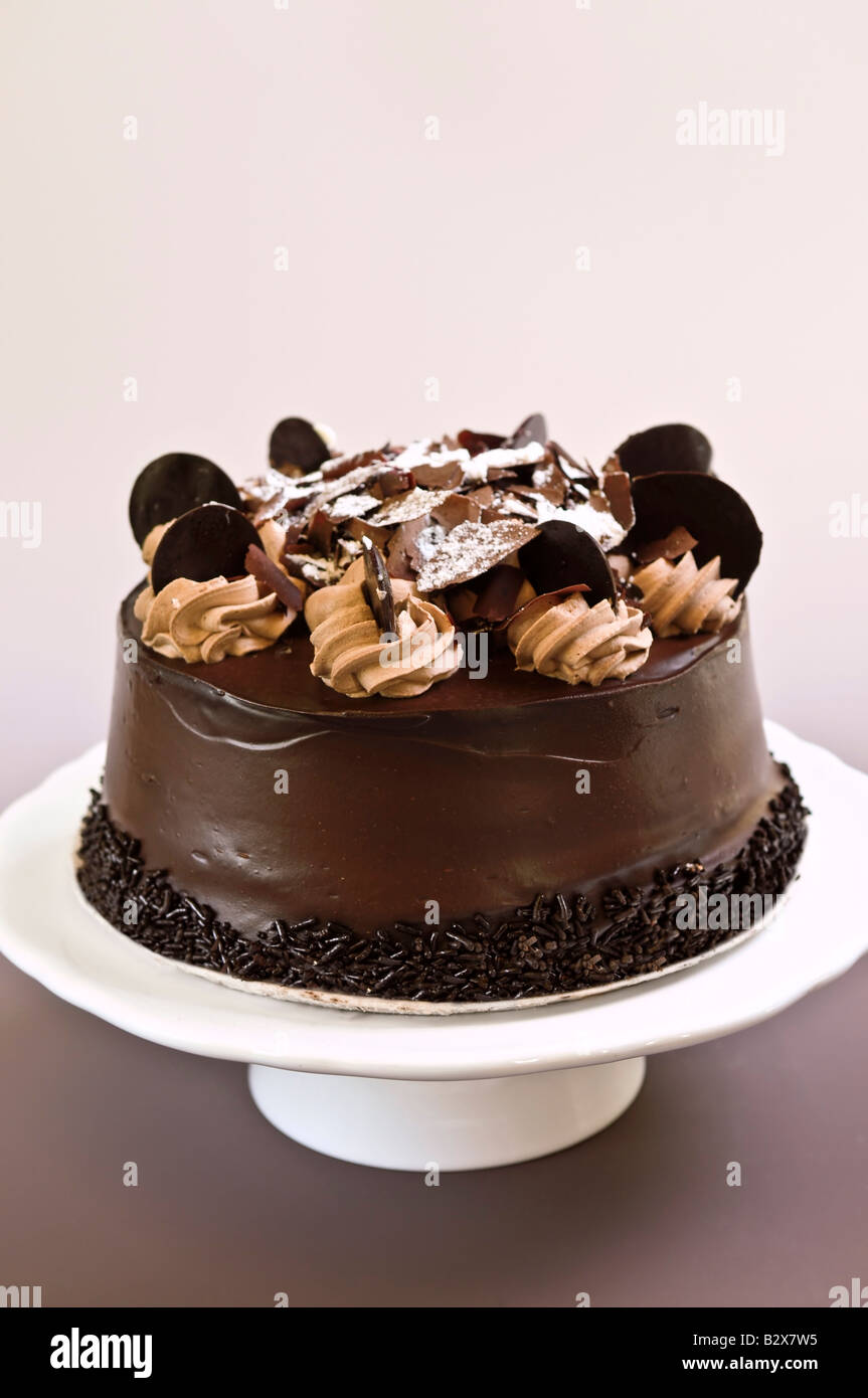 Runde Schokoladen-Kuchen mit Zuckerguss auf einer Platte Stockfoto