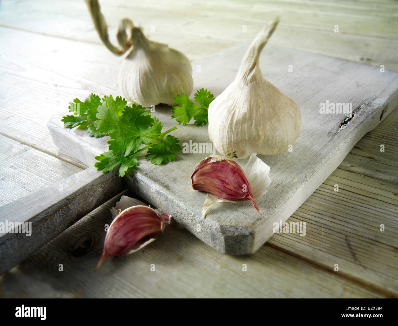 Frischer Knoblauch und Koriander Blätter Stockfoto