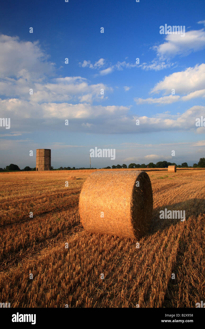 Strohballen in einem Feld mit Rickerby Torheit Turm. Rickerby, Cumbria, England, Vereinigtes Königreich. Stockfoto
