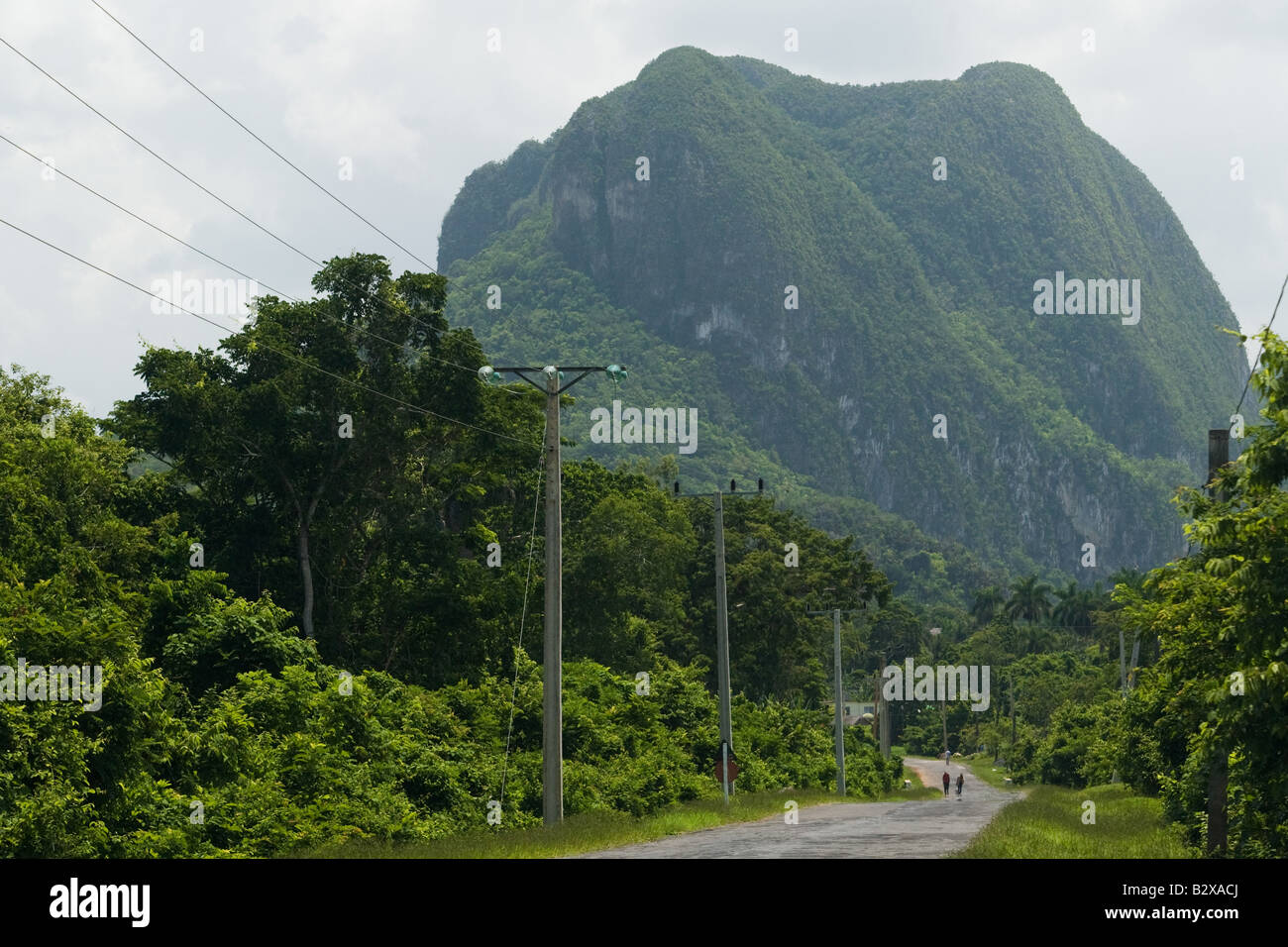 Eine große Gebirgsbildung genannt Mogote mit Blick auf eine Straße in der Nähe von Vinales Kuba Stockfoto