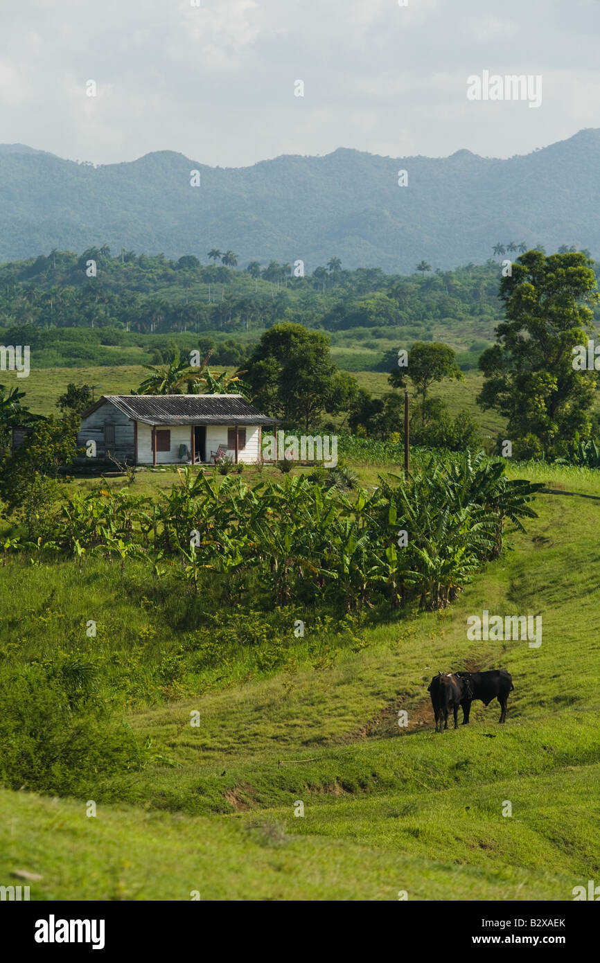 Blick auf kleine Haus in der Nähe von Vinales Kuba Stockfoto