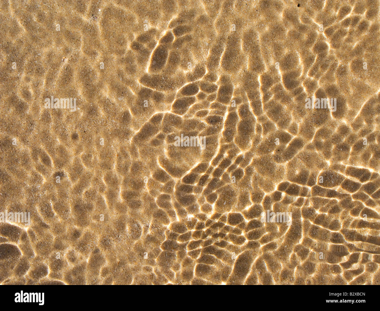 Flachwasser am Strand mit Leopard Spots efects Stockfoto