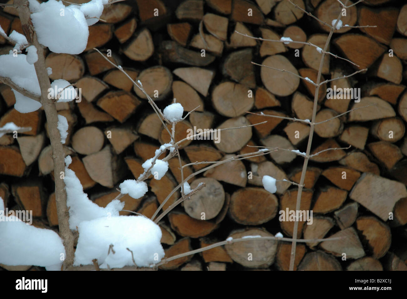 Winter in Japan Stockfoto