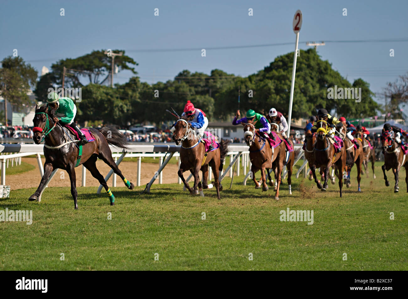 2006 Barbados Pferderennen, Sandy Lane Gold Cup in Garrison Savannah Rennstrecke in Bridgetown, Barbados, West Indies Stockfoto