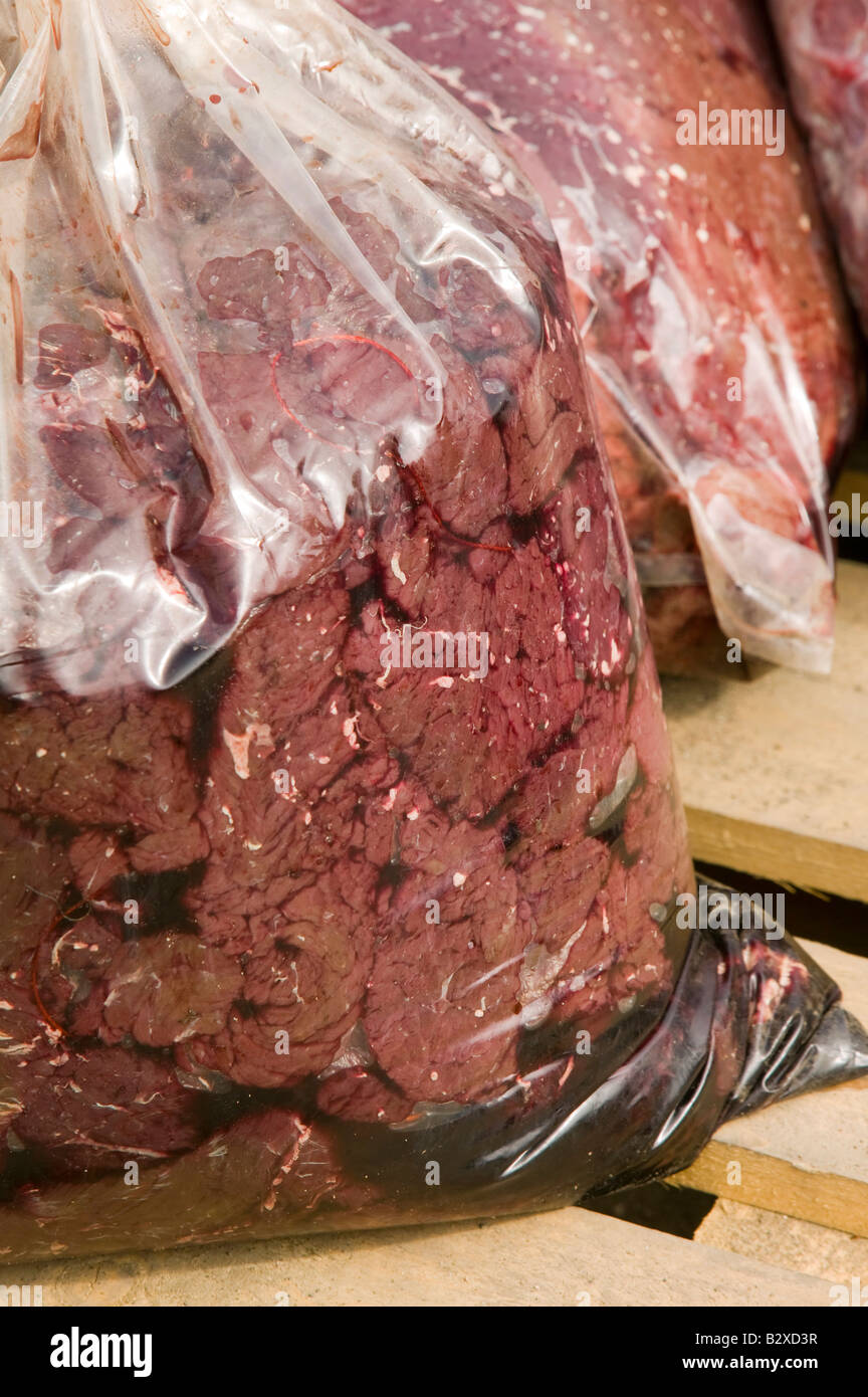 Robbenfleisch in einer Tasche am Kai bei Ilulissat in Grönland das Siegel ein Inuit-Jäger erschossen wurde Stockfoto