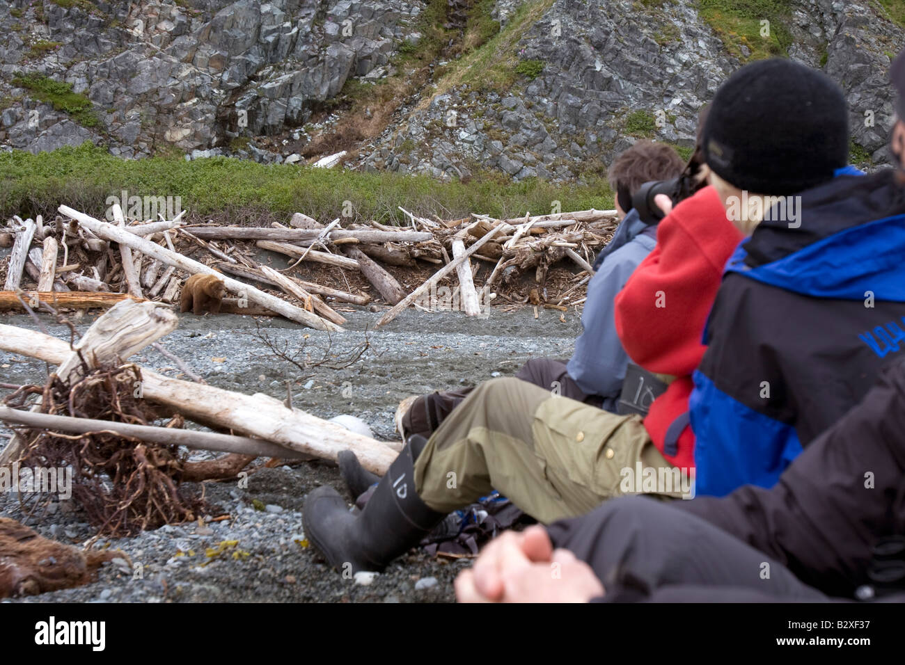 Bärenbeobachtung im Katmai National Park and Preserve, Kamishak Bay, Cook Inlet, Alaska, USA Stockfoto