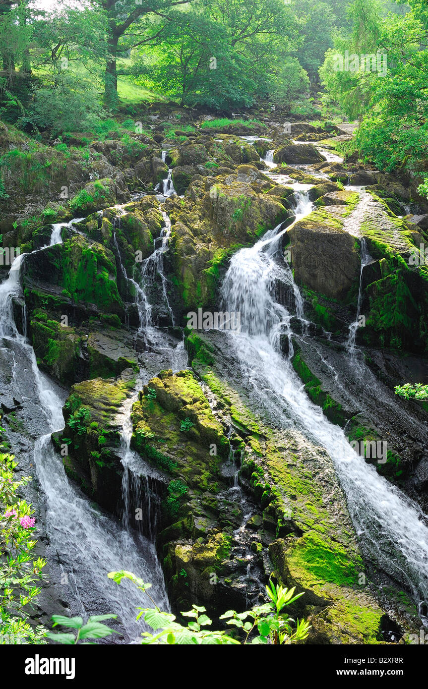 Swallow Falls am Fluss Afon Llugwy in der Nähe von Betws-Y-Coed in Nordwales Teil des Snowdonia-Nationalpark Stockfoto