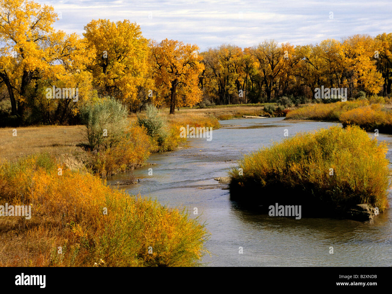 Little Bighorn River, Montana, usa Stockfoto