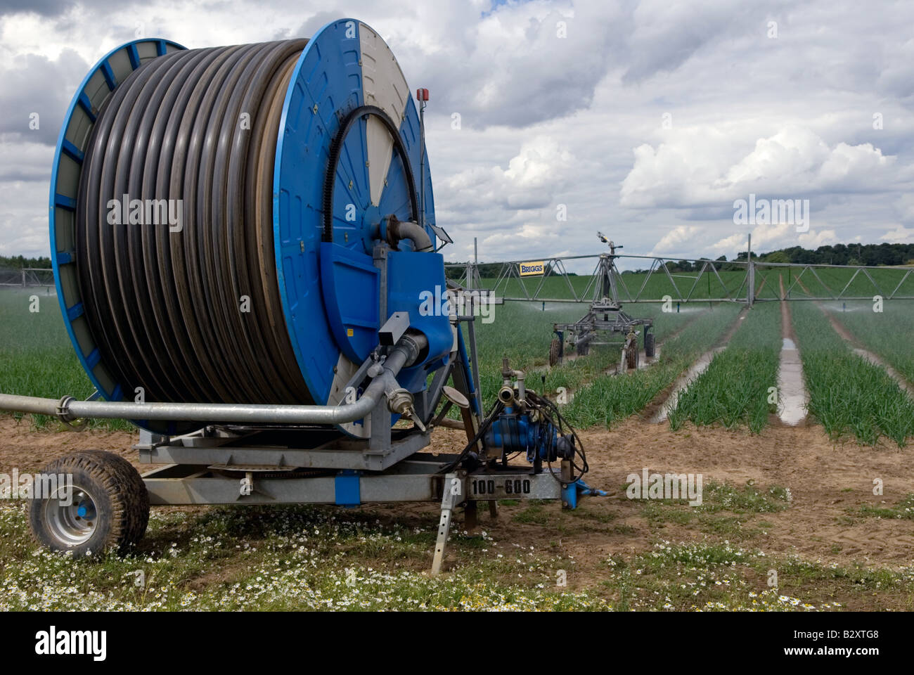 Briggs Bewässerungssystem Bewässerung eine Ernte von Zwiebeln, Butley, Suffolk, UK. Stockfoto