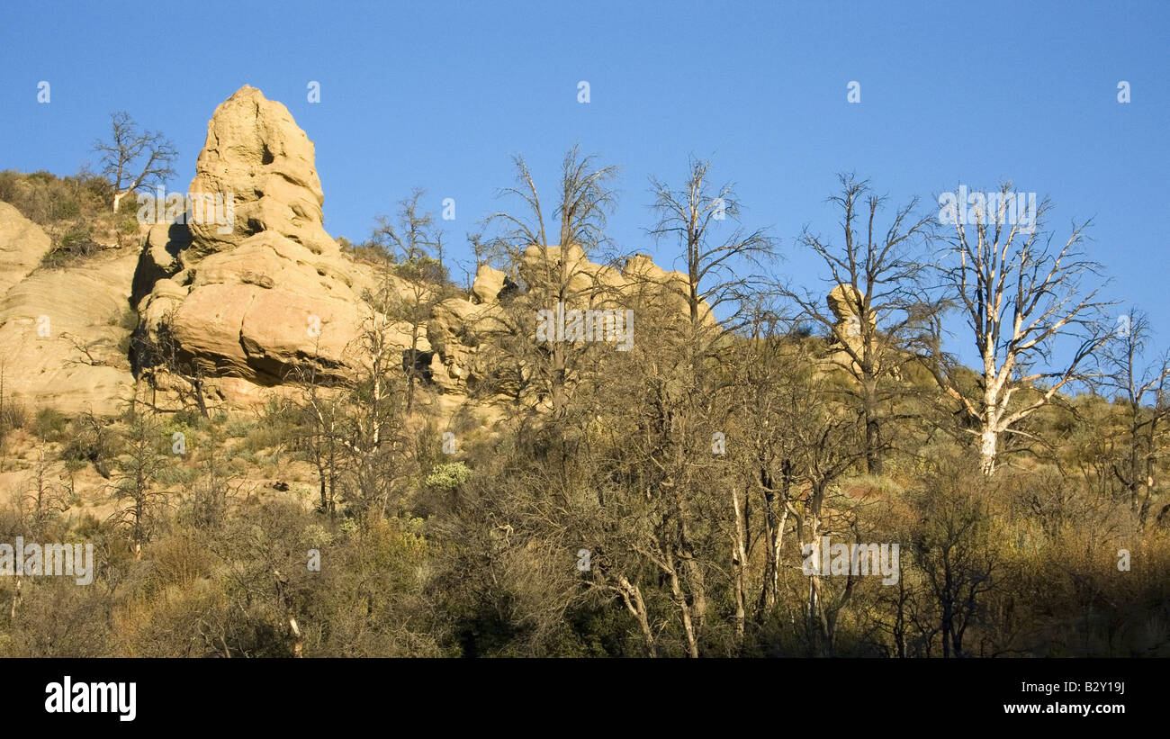 Seltsame Felsformationen am Highway 33, Weg nach Ojai, Kalifornien Stockfoto