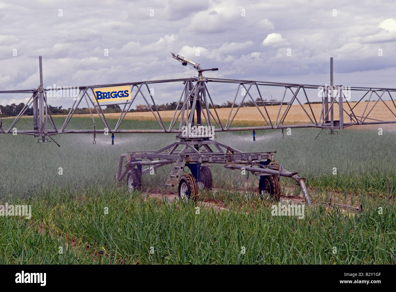 Briggs Bewässerungssystem Bewässerung eine Ernte von Zwiebeln, Butley, Suffolk, UK. Stockfoto