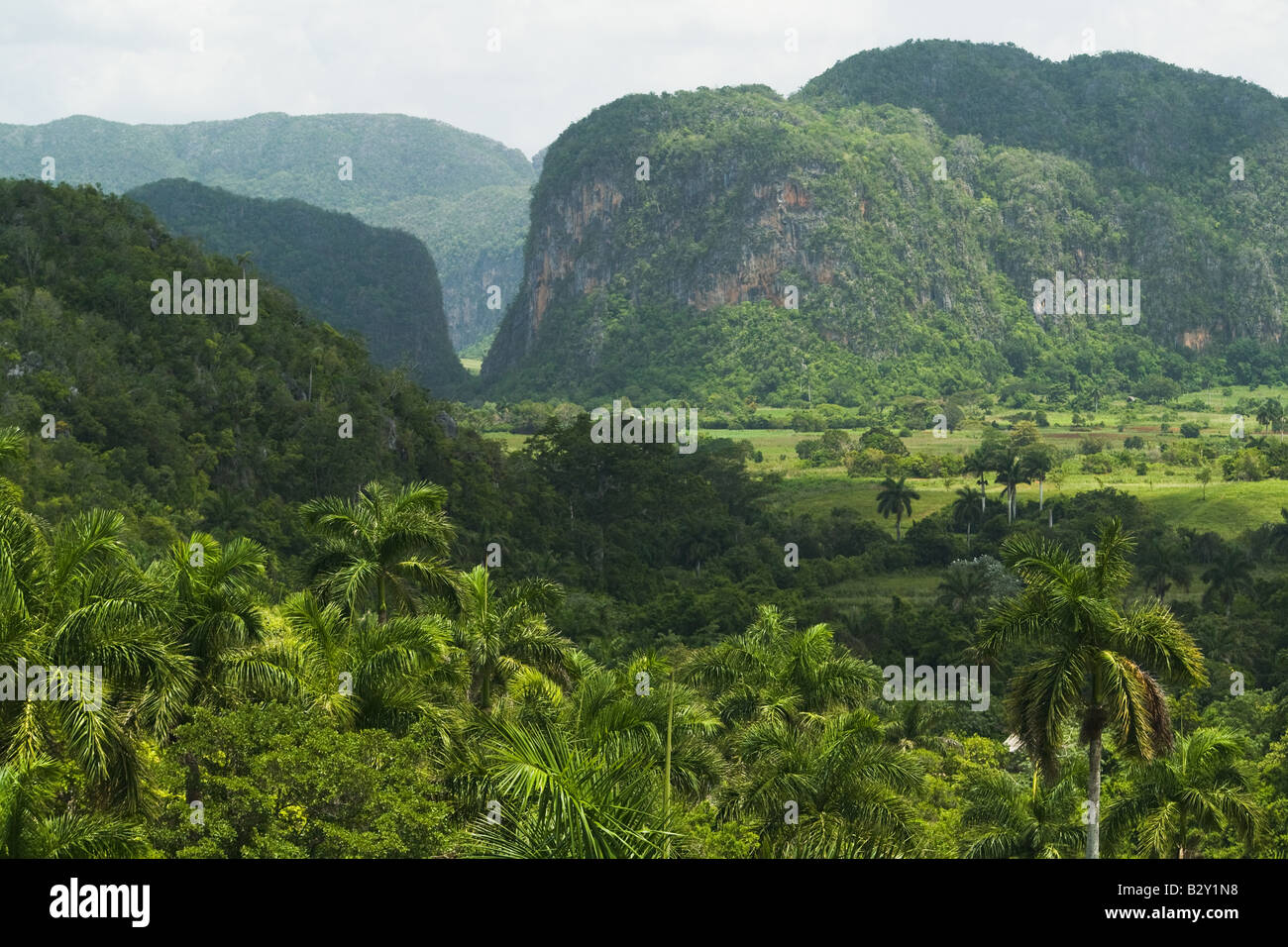 Blick auf das Tal von Vinales-Kuba Stockfoto
