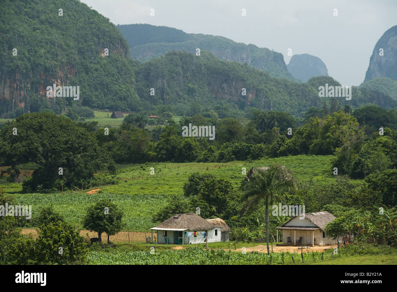 Ansicht von kleinen Häusern in das Tal von Vinales-Kuba Stockfoto
