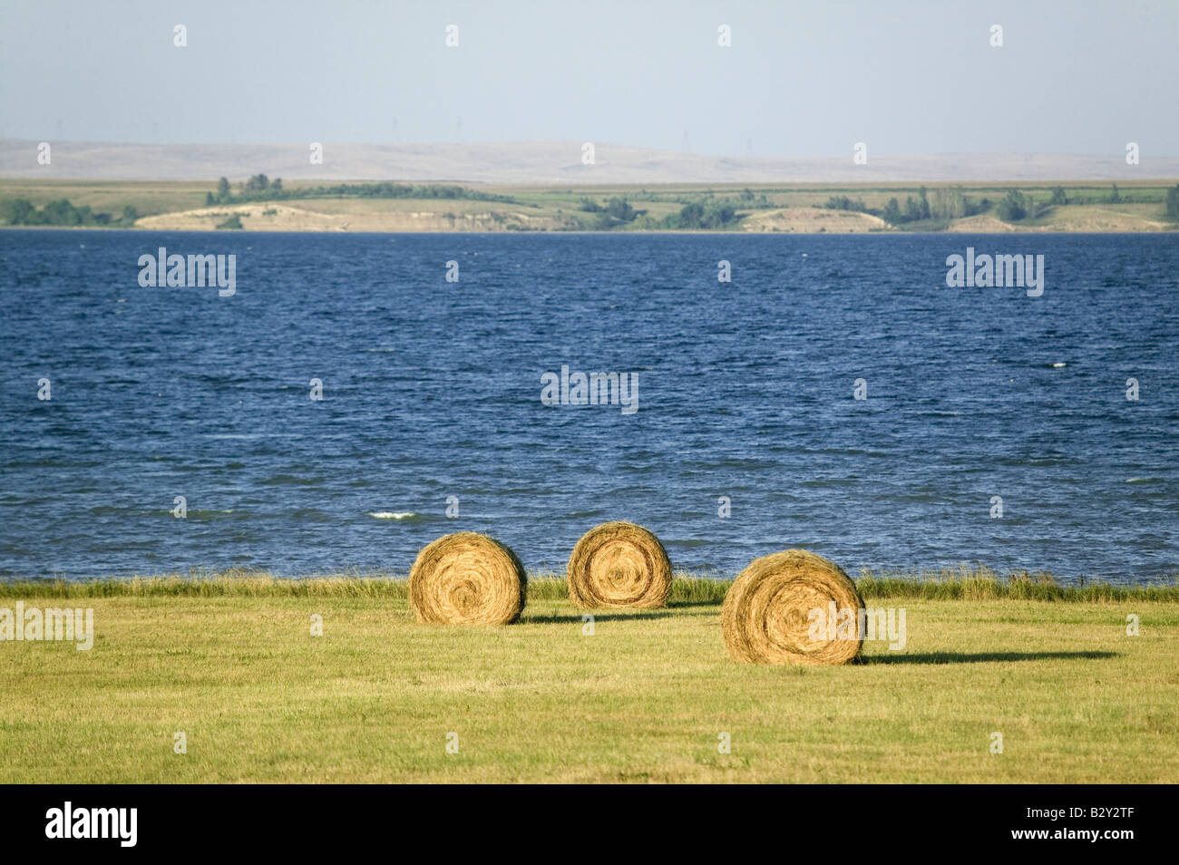 Hay Bails entlang des Missouri River in der Nähe von Lower Brule, South Dakota Stockfoto