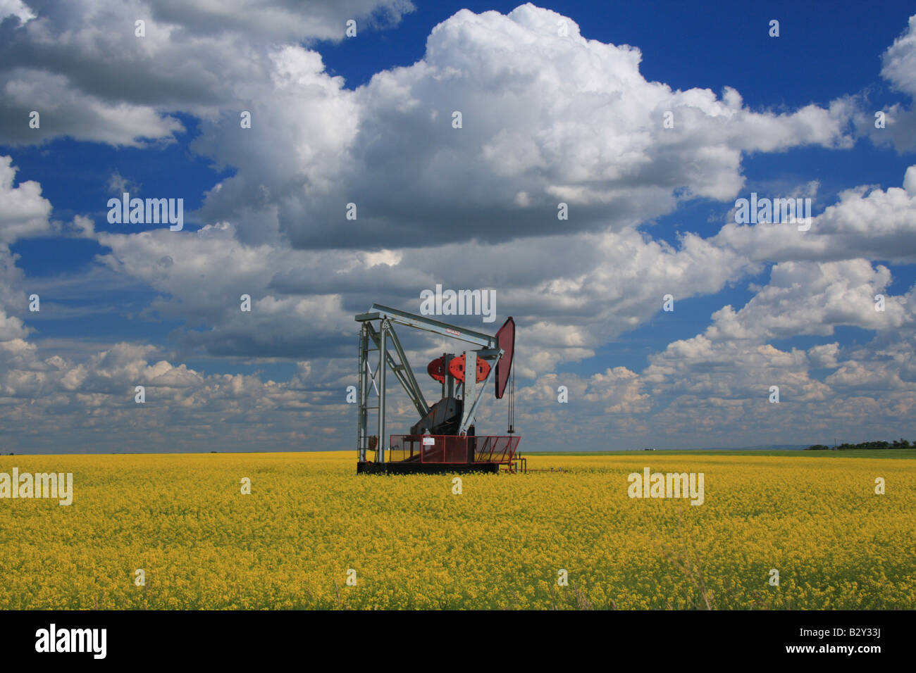 Öl-Turm in Raps Feld auf den Spuren der Dinosaurier, Drumheller, Alberta Stockfoto