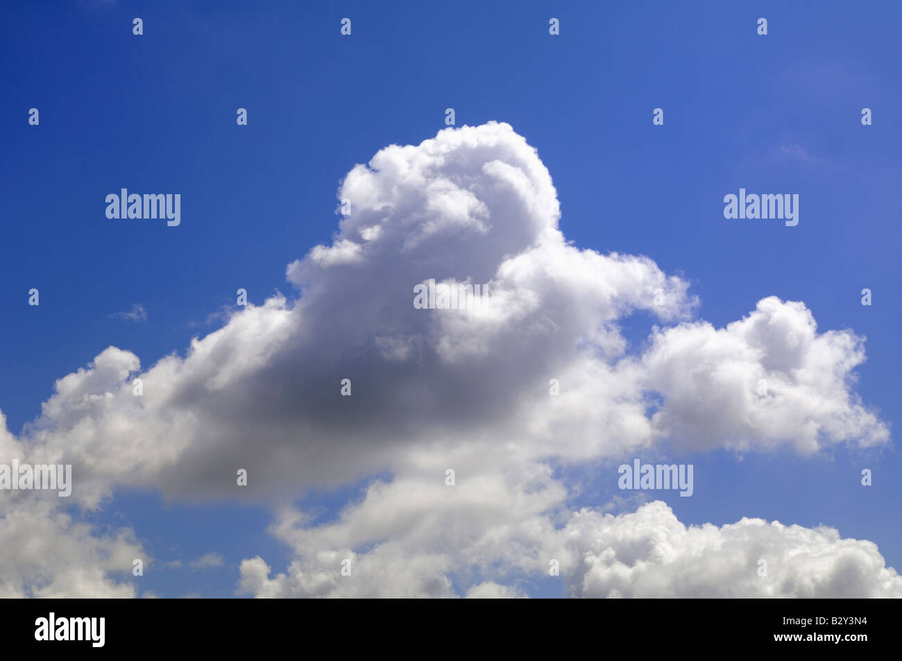 riesige Cumulus Wolke sonnigen Himmel Stockfoto