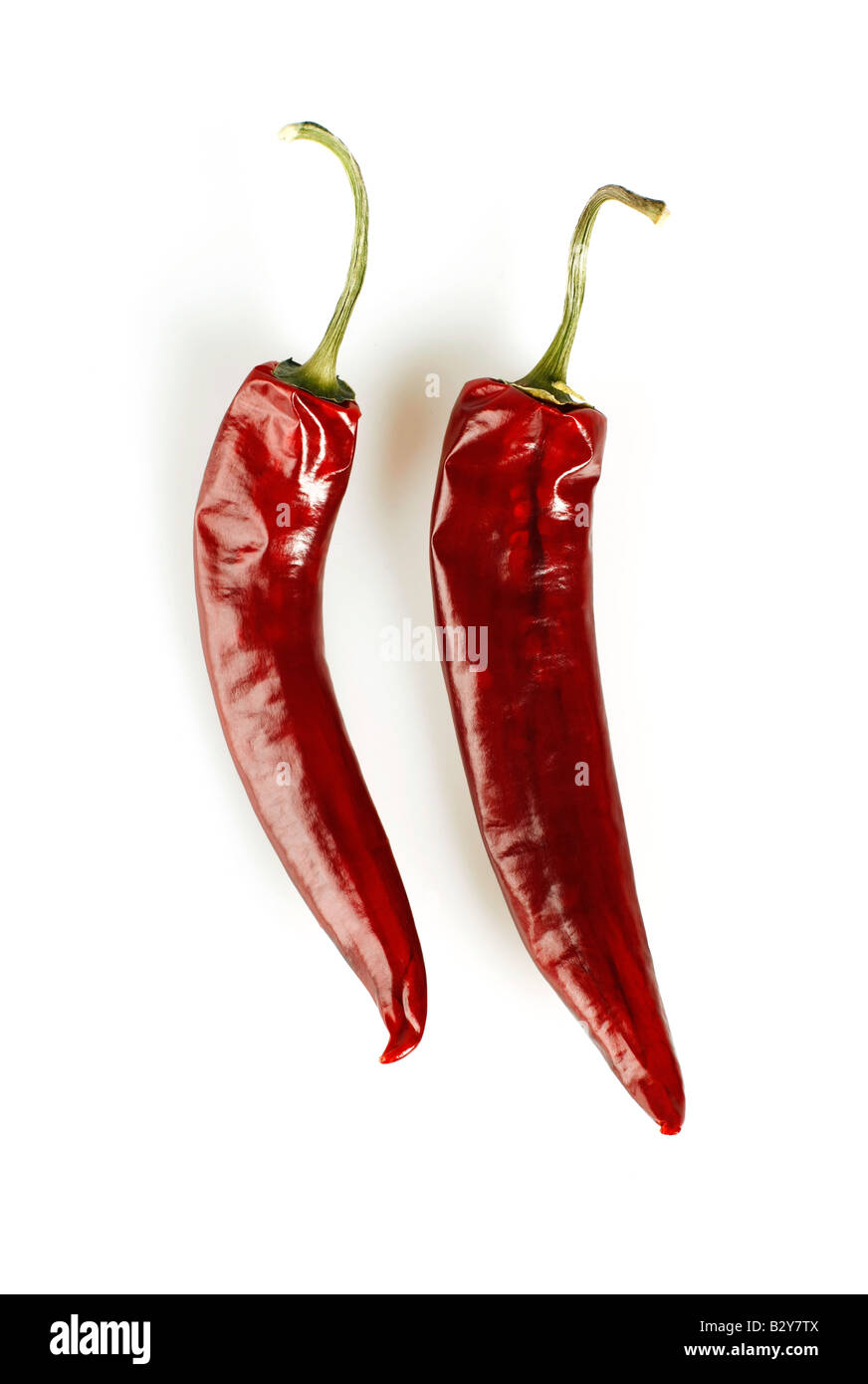 Red hot chili peppers isolierten auf weißen Hintergrund erfasst im Studio mit einer 21-Megapixel-Kamera Stockfoto