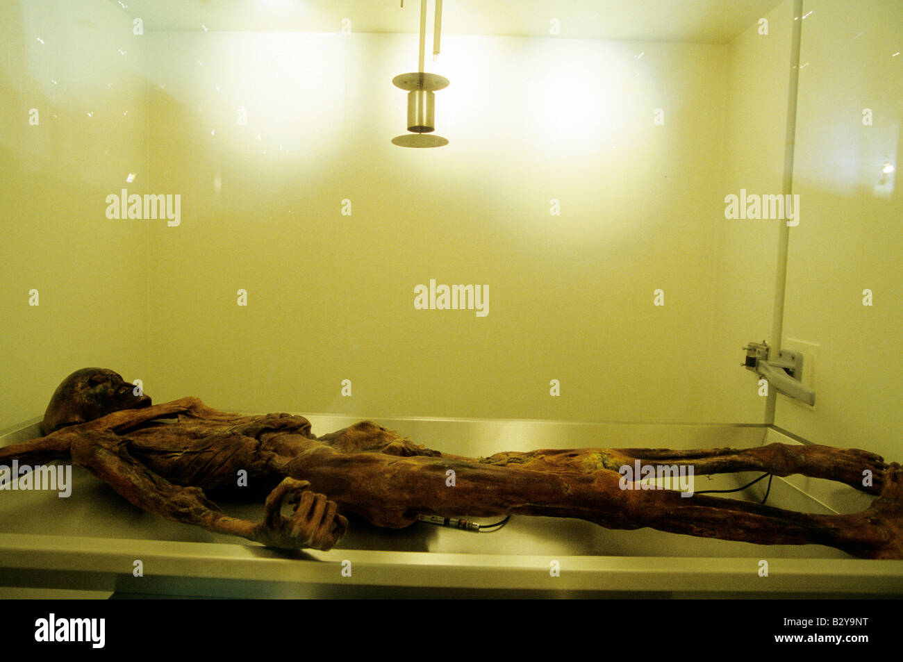 ötzi museum bozen online tickets