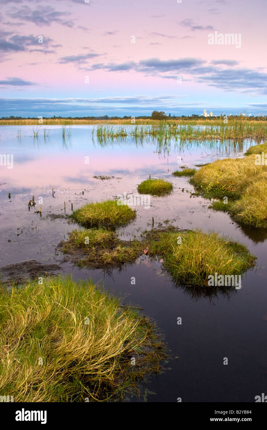 Sonnenuntergang über Hirte Lake Regionalpark Feuchtgebiete in Perth, Western Australia Stockfoto