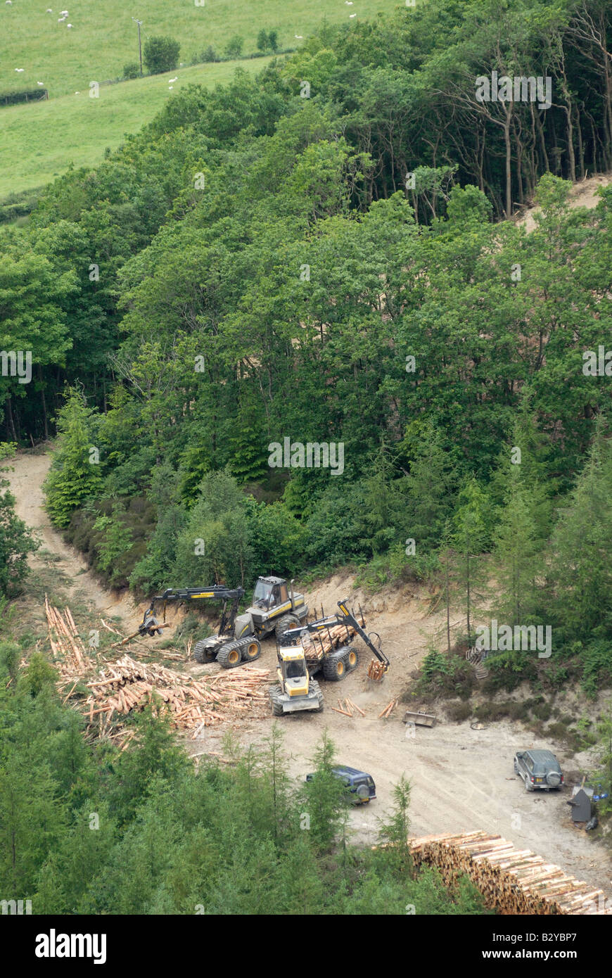 Forstmaschinen, die Verarbeitung von Holz in den Wäldern Stockfoto