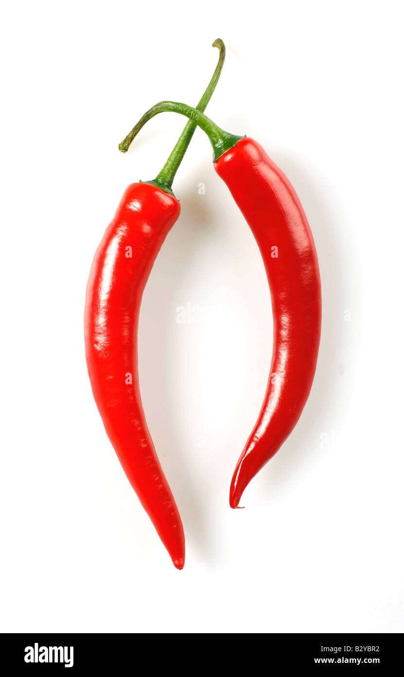Red hot chili peppers isolierten auf weißen Hintergrund erfasst im Studio mit einer 21-Megapixel-Kamera Stockfoto