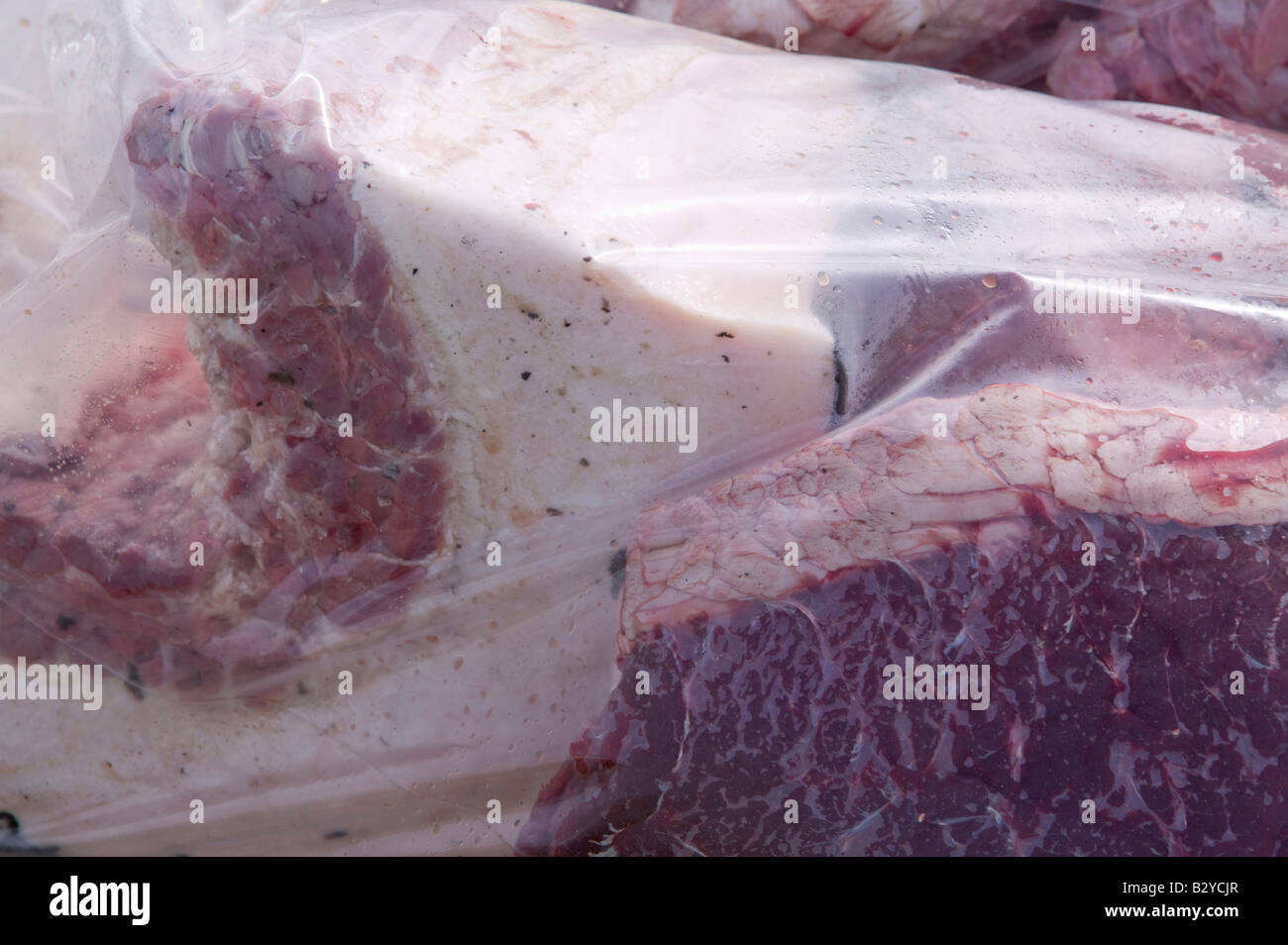 Robbenfleisch in einer Tasche am Kai bei Ilulissat in Grönland das Siegel ein Inuit-Jäger erschossen wurde Stockfoto