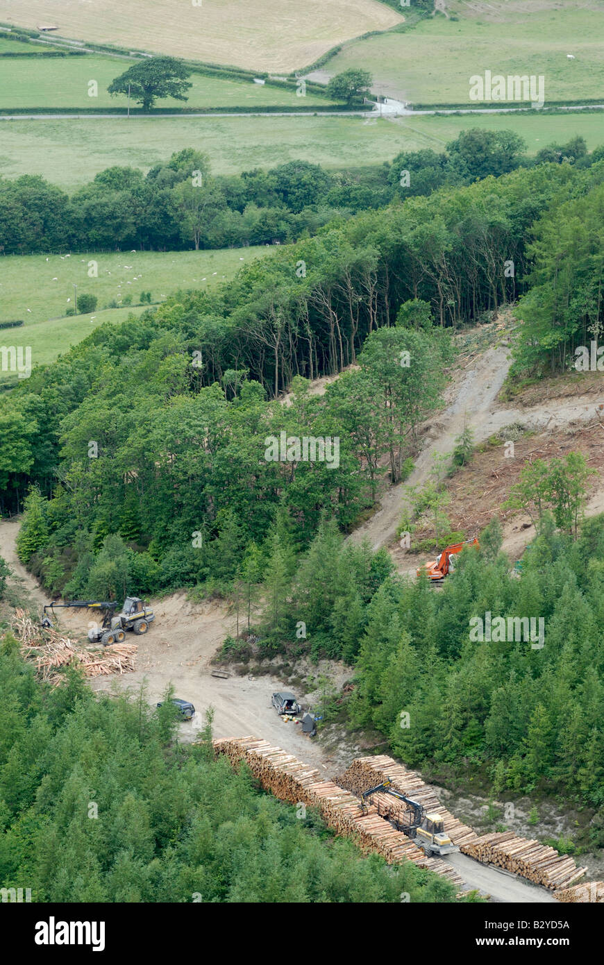 Forstmaschinen, die Verarbeitung von Holz im Wald, Ceredigion, Wales Stockfoto