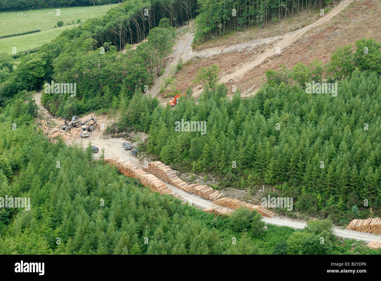 Forstmaschinen, die Verarbeitung von Holz im Wald, Ceredigion, Wales Stockfoto