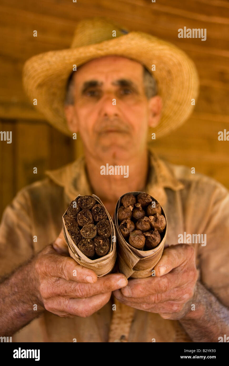 Bundle von handgedrehten kubanische Zigarren nach Hause hergestellt und zum Verkauf von lokalen Tabakbauern Vinales Kuba im Fokus Stockfoto