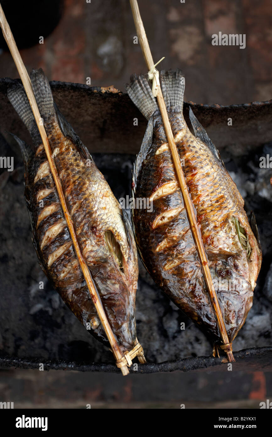 Schließen Sie herauf Bild von gegrilltem Fisch auf einem freien Markt. Stockfoto