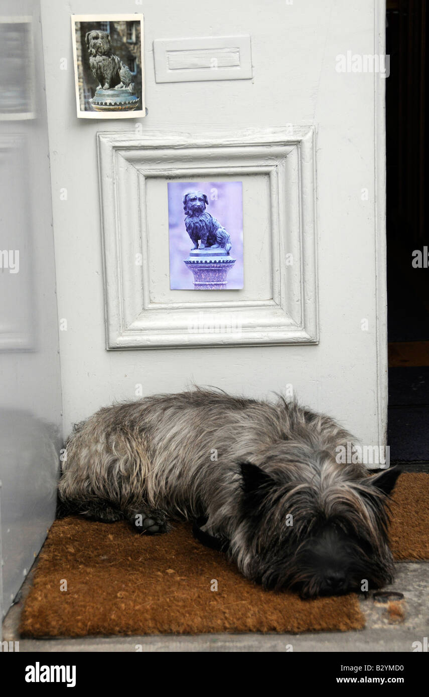 Skye Terrier mit Foto von Greyfriars Bobby, Grassmarket, Edinburgh, Schottland Stockfoto