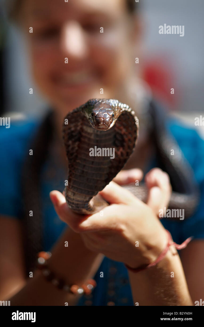 Eine Frau hält eine Kobra Schlange in ihren Händen, wie es sich erhebt und auf den Betrachter starrt. Stockfoto