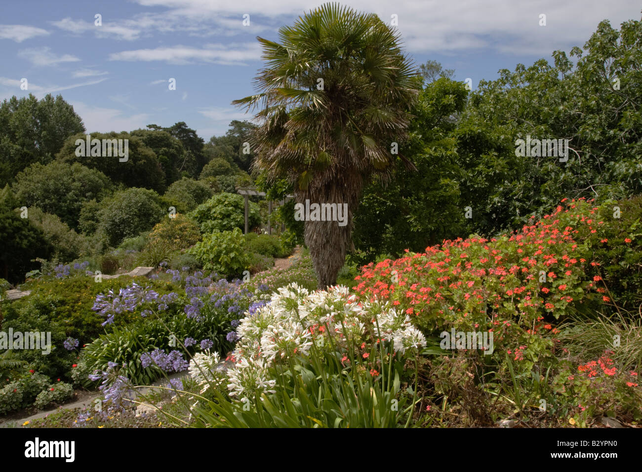 Ventnor Botanic Gardens, Isle Of Wight, Großbritannien Stockfoto