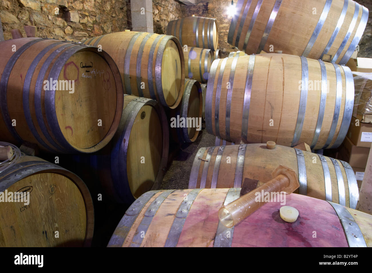 Eiche Fasskeller Altern und Gärung. Domaine Olivier Piton, Calces, Roussillon, Frankreich Stockfoto