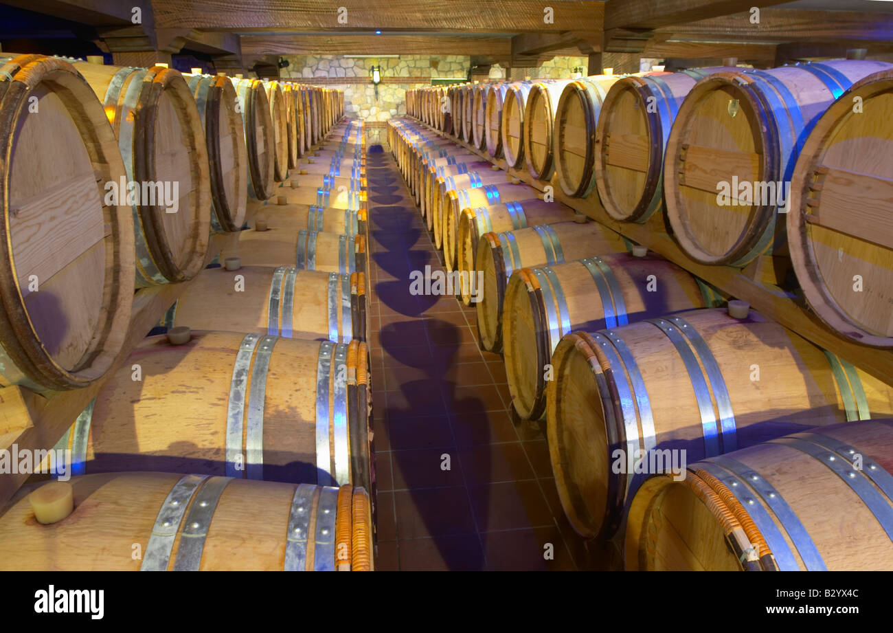 Eiche Fasskeller Altern und Gärung. Domaine Gerovassiliou, Epanomi, Mazedonien, Griechenland. Stockfoto