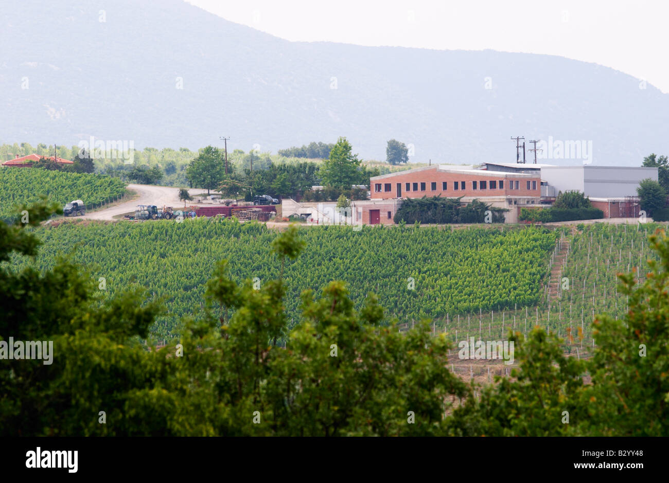 Weingut. Weinkellerei. Kir Yianni Weingut, Yianakohori, Naoussa, Mazedonien, Griechenland Stockfoto