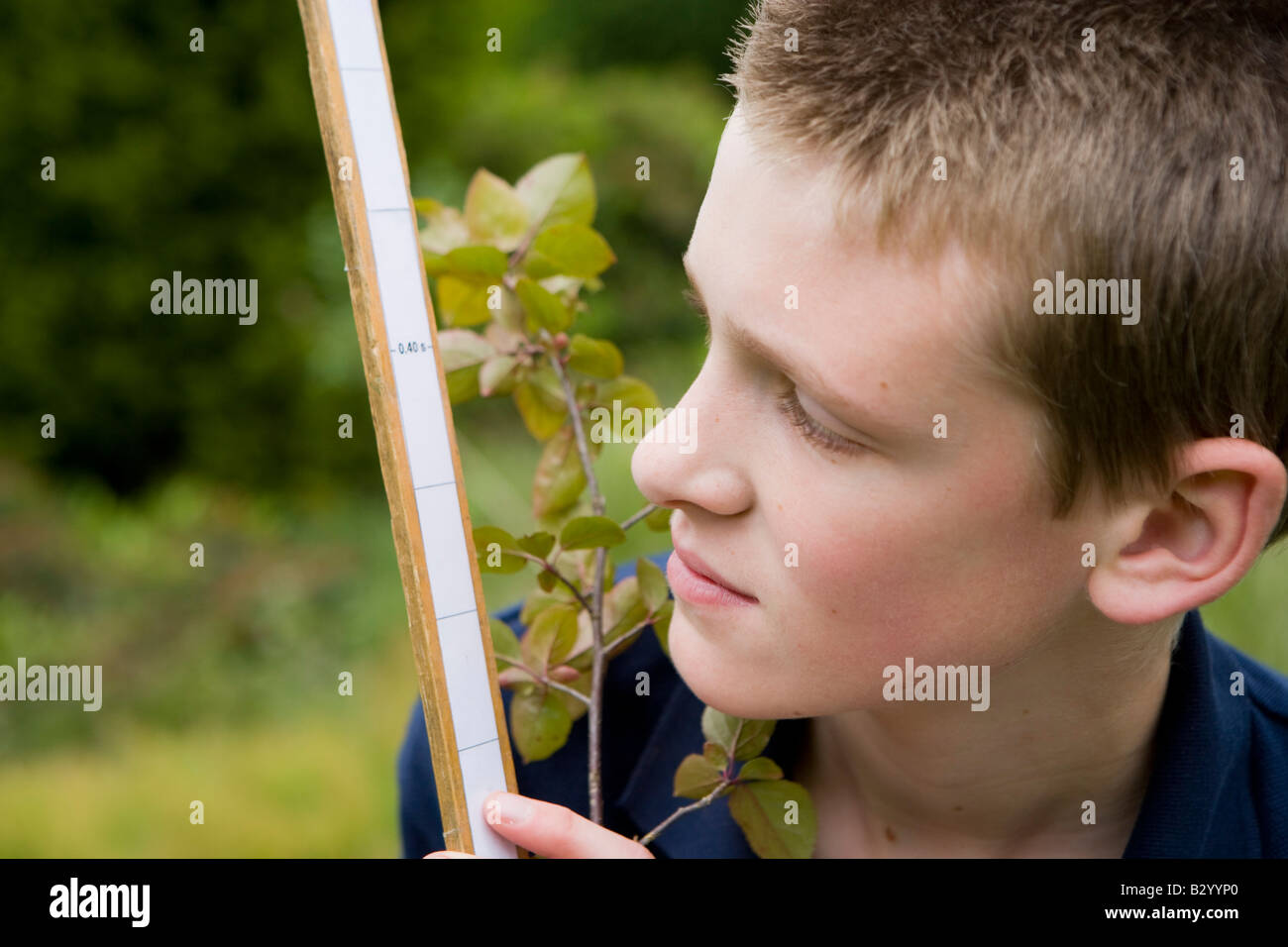 Schüler erforschen das Wachstum eines Baumes Stockfoto