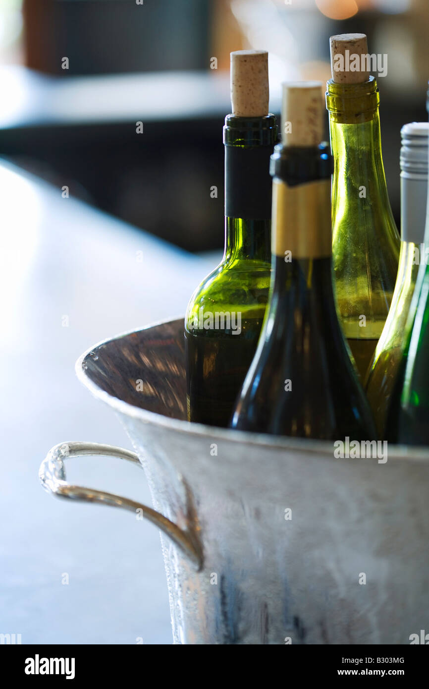 Weinflaschen im Eiskübel Stockfoto