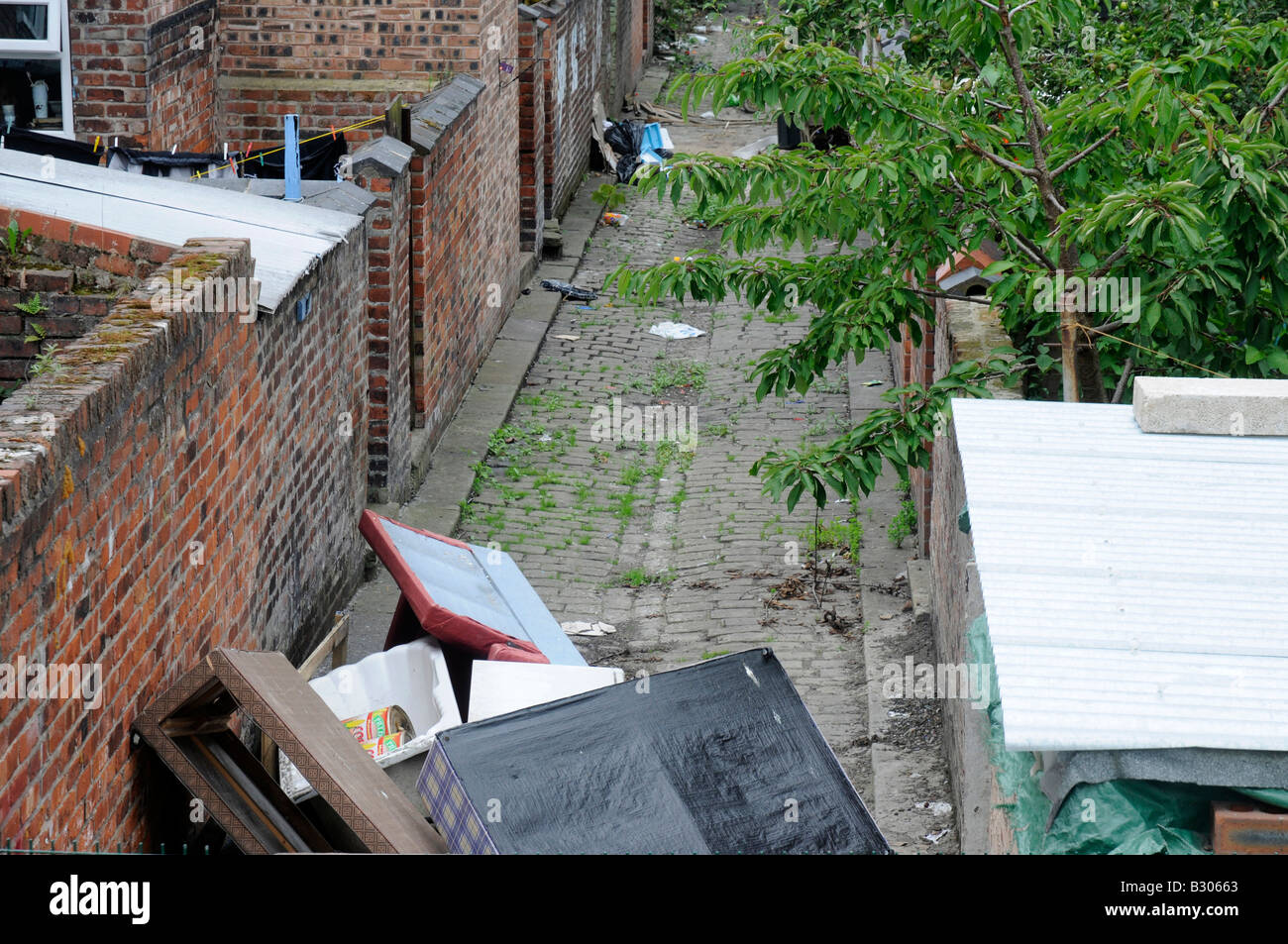 Städtisches Chaos, fliegen kippte Müll in einer Terrasse hinter Verbündeten, Manchester, Nordengland geworfen Stockfoto