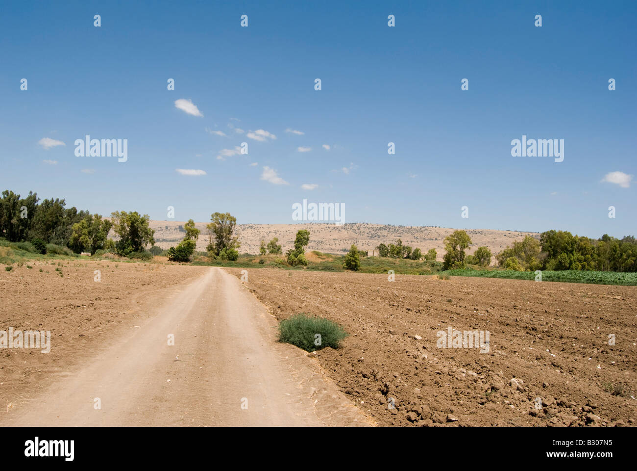 Israel westlichen Galiläa die geernteten und gepflügten Felder des Kibbuz Hanita Stockfoto