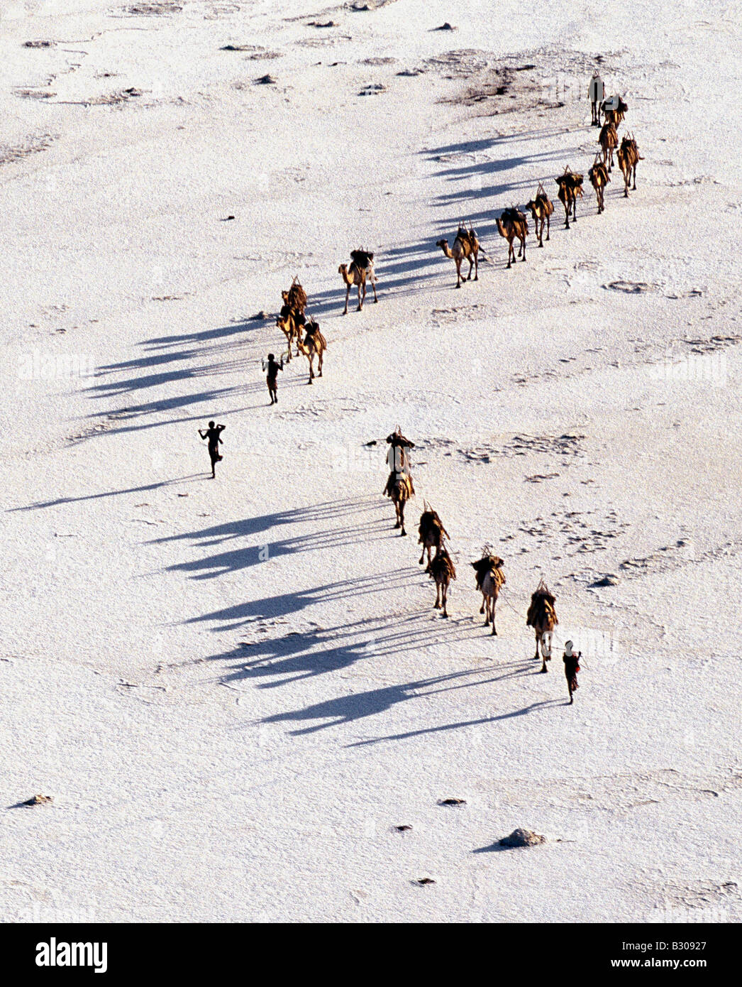 Djibouti, Lake Assal. Eine Ferne Kamel-Karawane überquert die Salinen von Lake Assal, wie Schatten in der späten Nachmittagssonne verlängern. Stockfoto