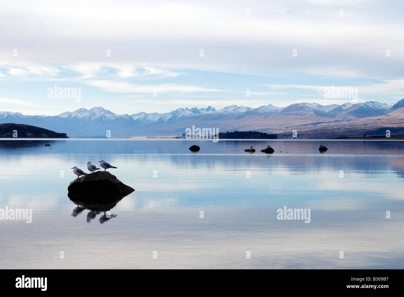 Lakeside Reflexionen, Lake Tekapo, NZ Stockfoto