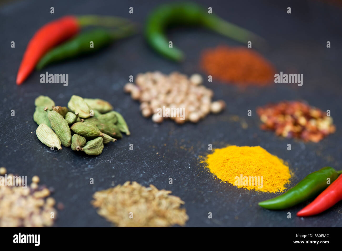 Indische Küche Gewürze und Chilis auf Schiefer. Selektiven Fokus Stockfoto