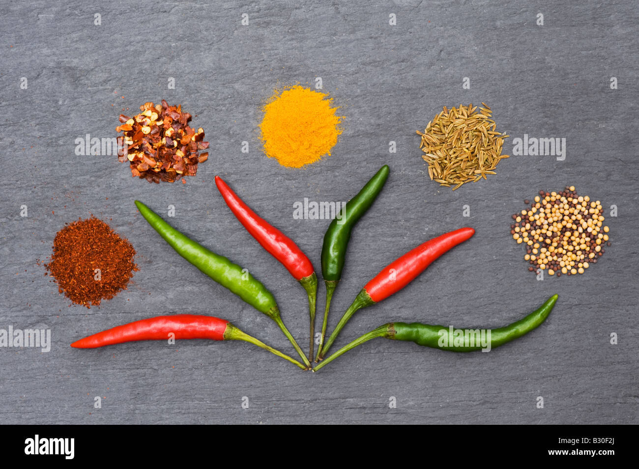 Rote Peperoni und indischen Gewürzen auf Schiefer Stockfoto