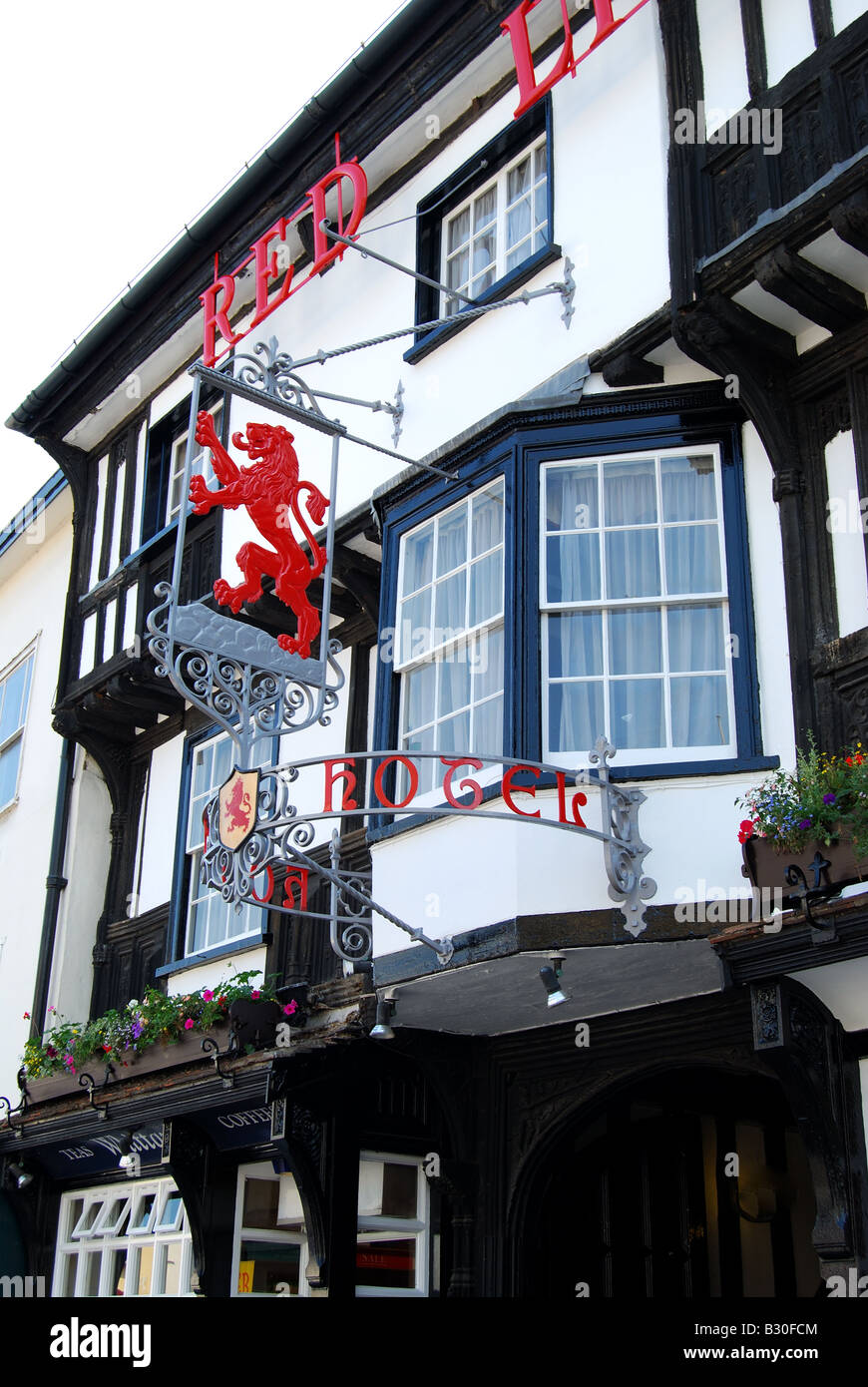 Der rote Löwe, High Street, Colchester, Essex, England, Vereinigtes Königreich Stockfoto