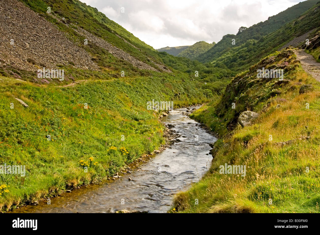 Heddon Valley Exmoor Nationalpark Nord-Devon Stockfoto