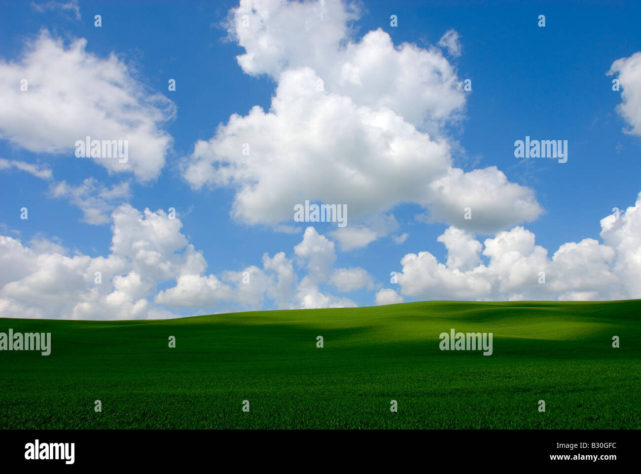 Europa-Italien-Toskana-Schatten der Wolken auf der grünen Wiese blauer Himmel und weiße Wolken Schönwetter Stockfoto