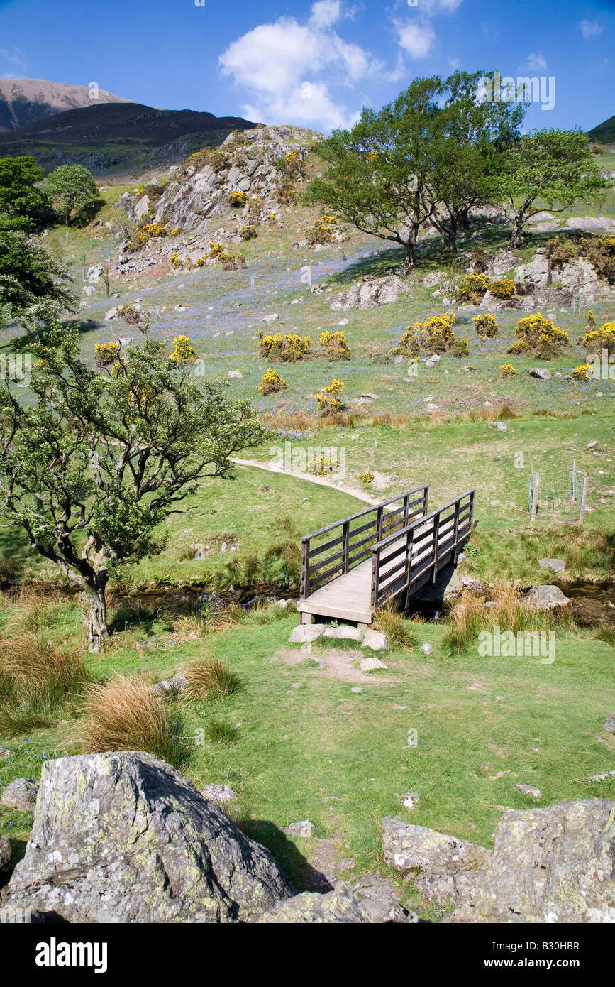 Rannerdale Secret Valley Glockenblumen und Weiden des Lake District National Park Cumbria Stockfoto