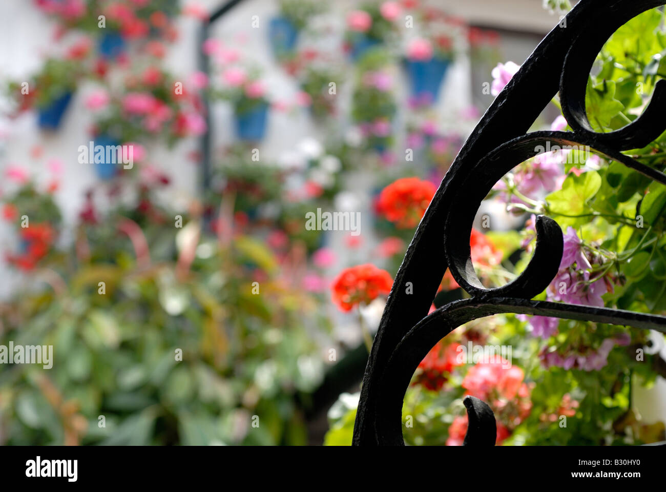 Fest der Innenhöfe Cordoba Andalusien Spanien. El Concurso de Los Patios. Geranien Blumen mediterranen Blumen. Mai-festival Stockfoto